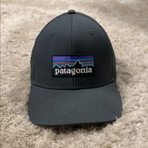 PATAGONIA GRAY TRUCKER HAT